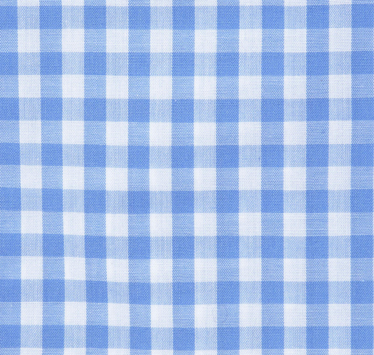 Clarendon Blue Gingham Shirt