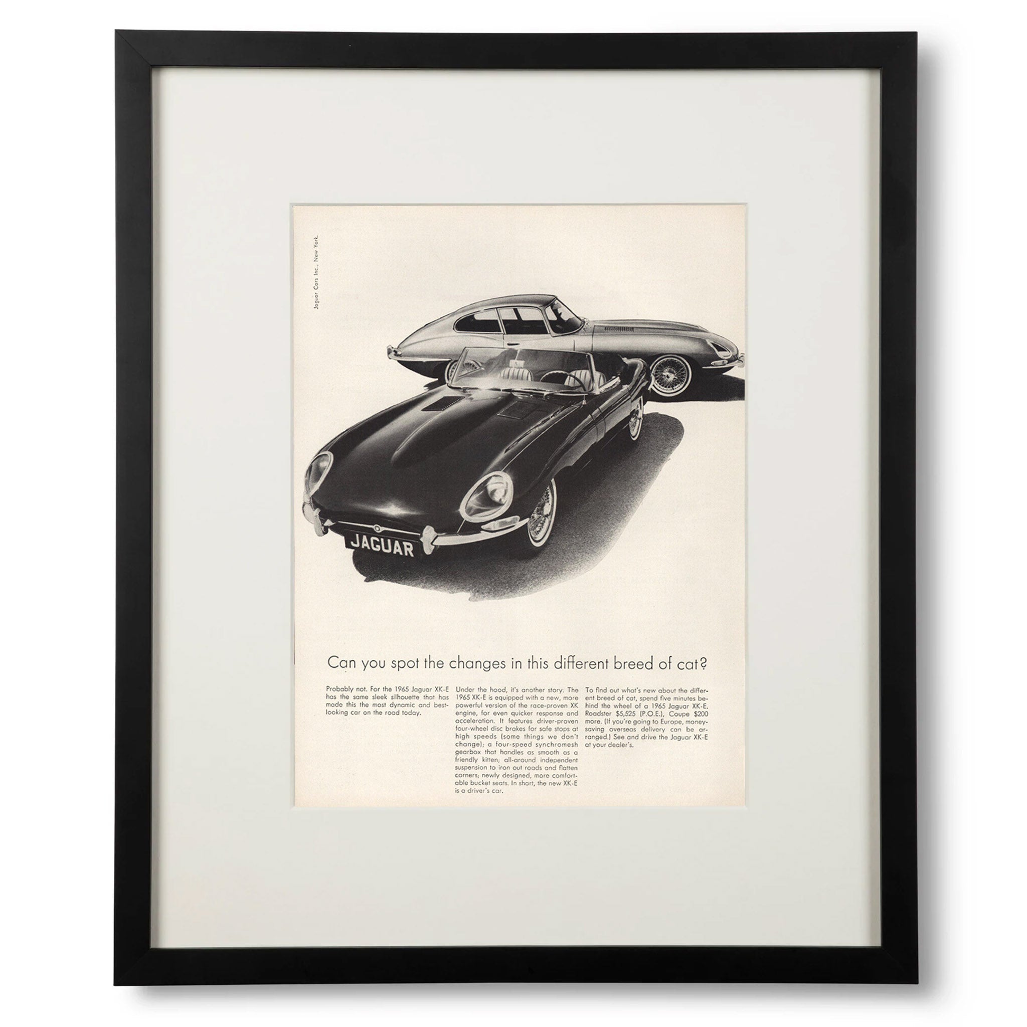 Framed Jaguar Motors 1965 XK-E Advertisement