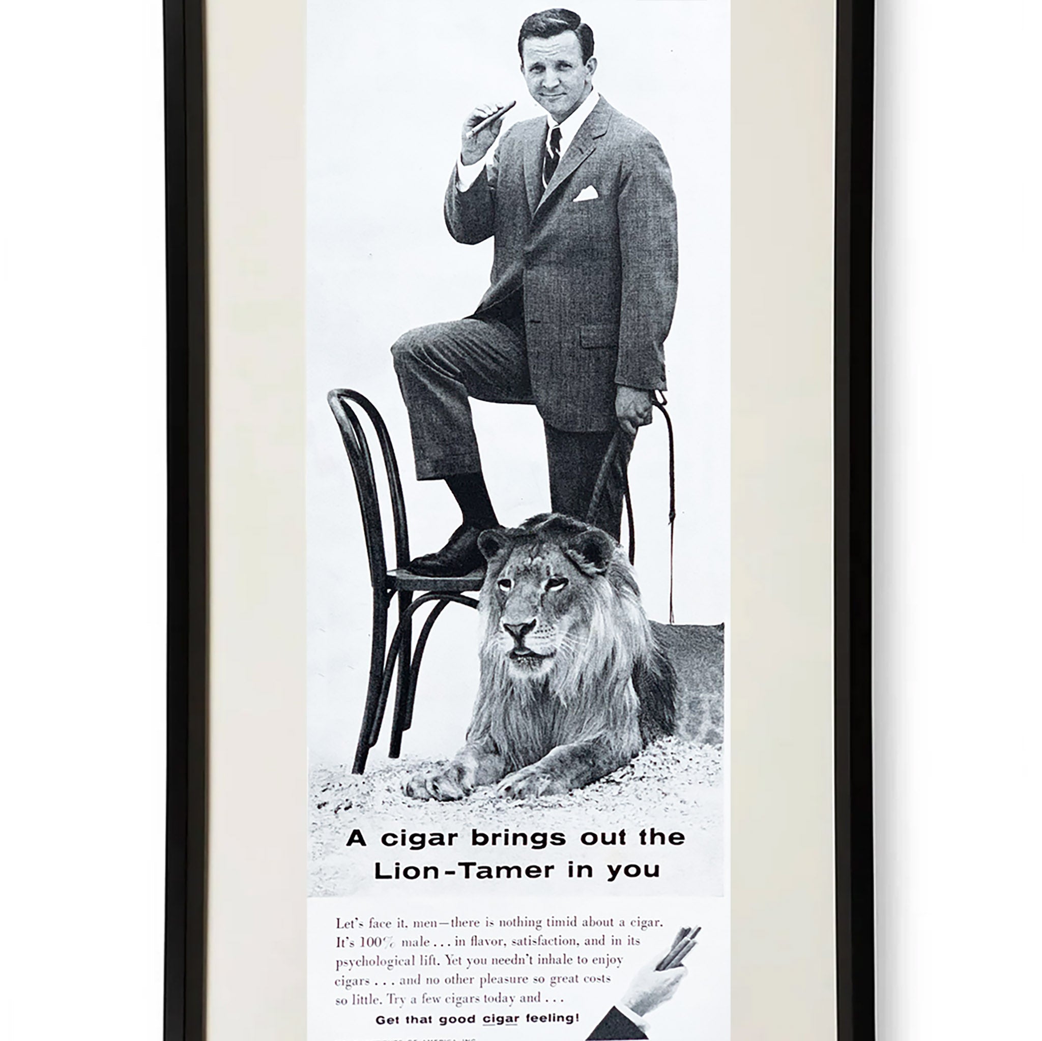 Framed Cigar Brings Out the Lion Tamer Advertisement