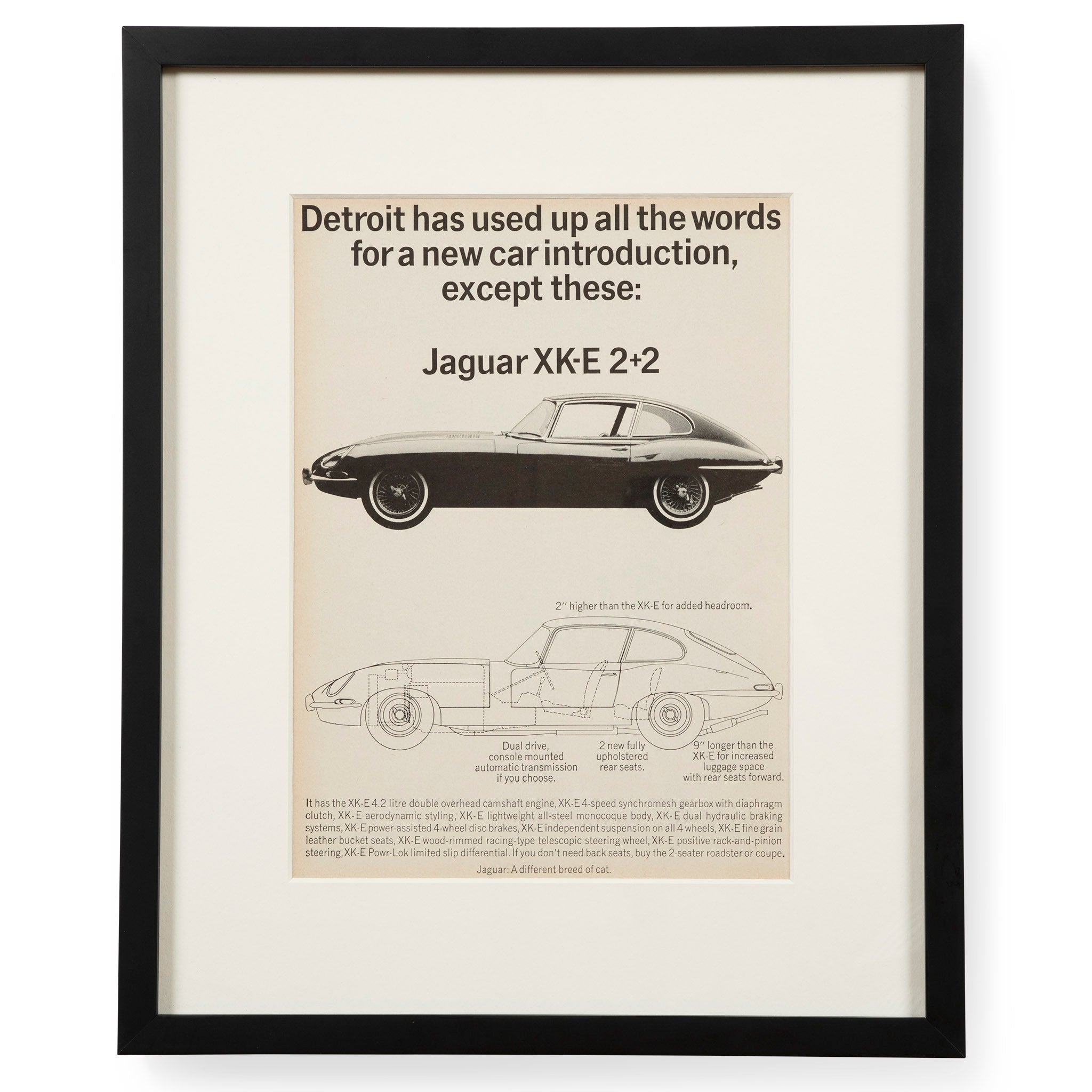 Vintage Jaguar Motors XK-E 2+2 Advertisement