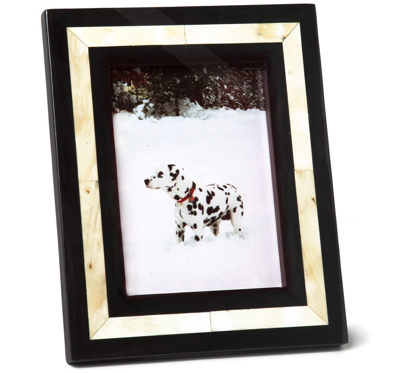 Sir Jack's Ox Horn Picture Frame 