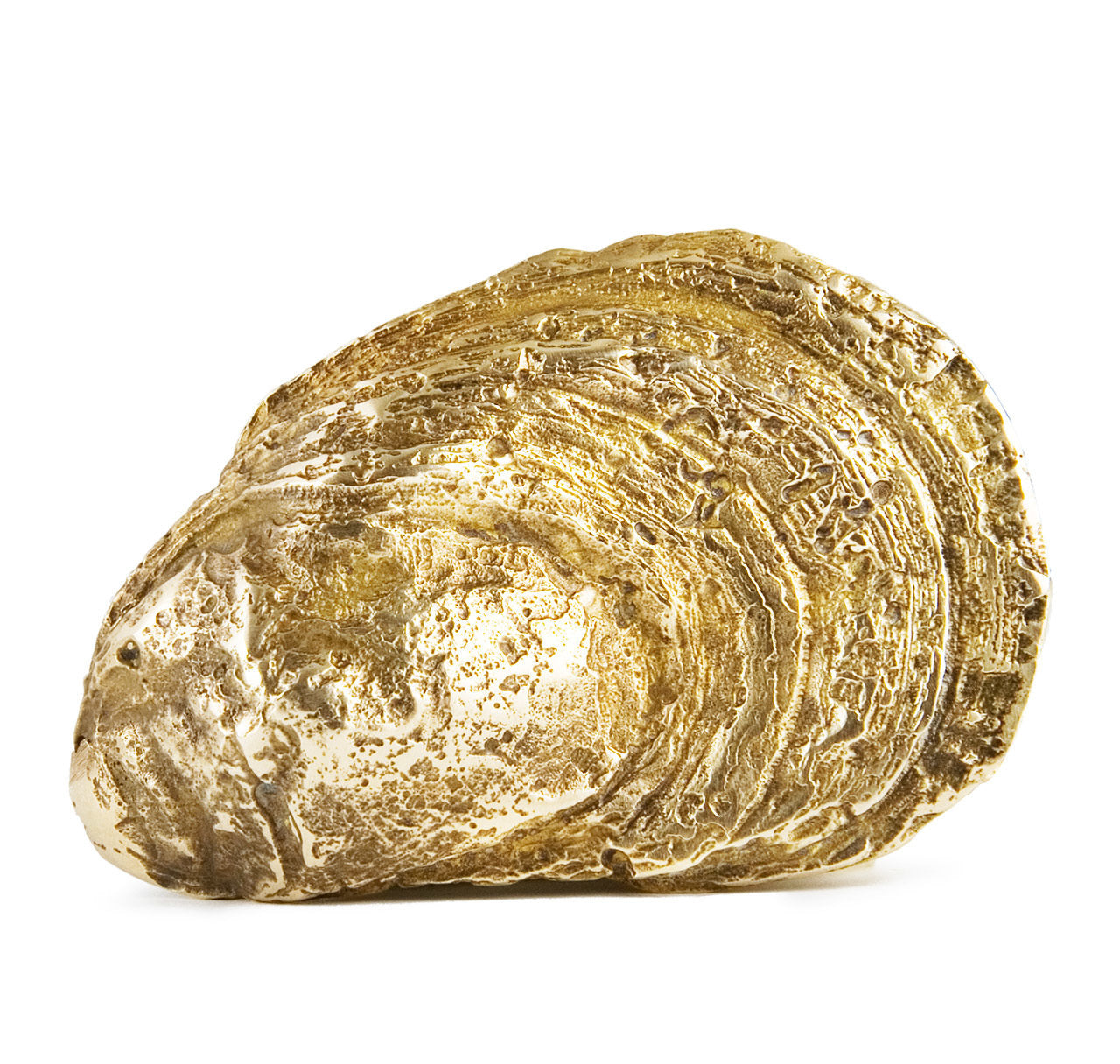 Sir Jack's Oyster Shell Buckle with Brown Leather Belt