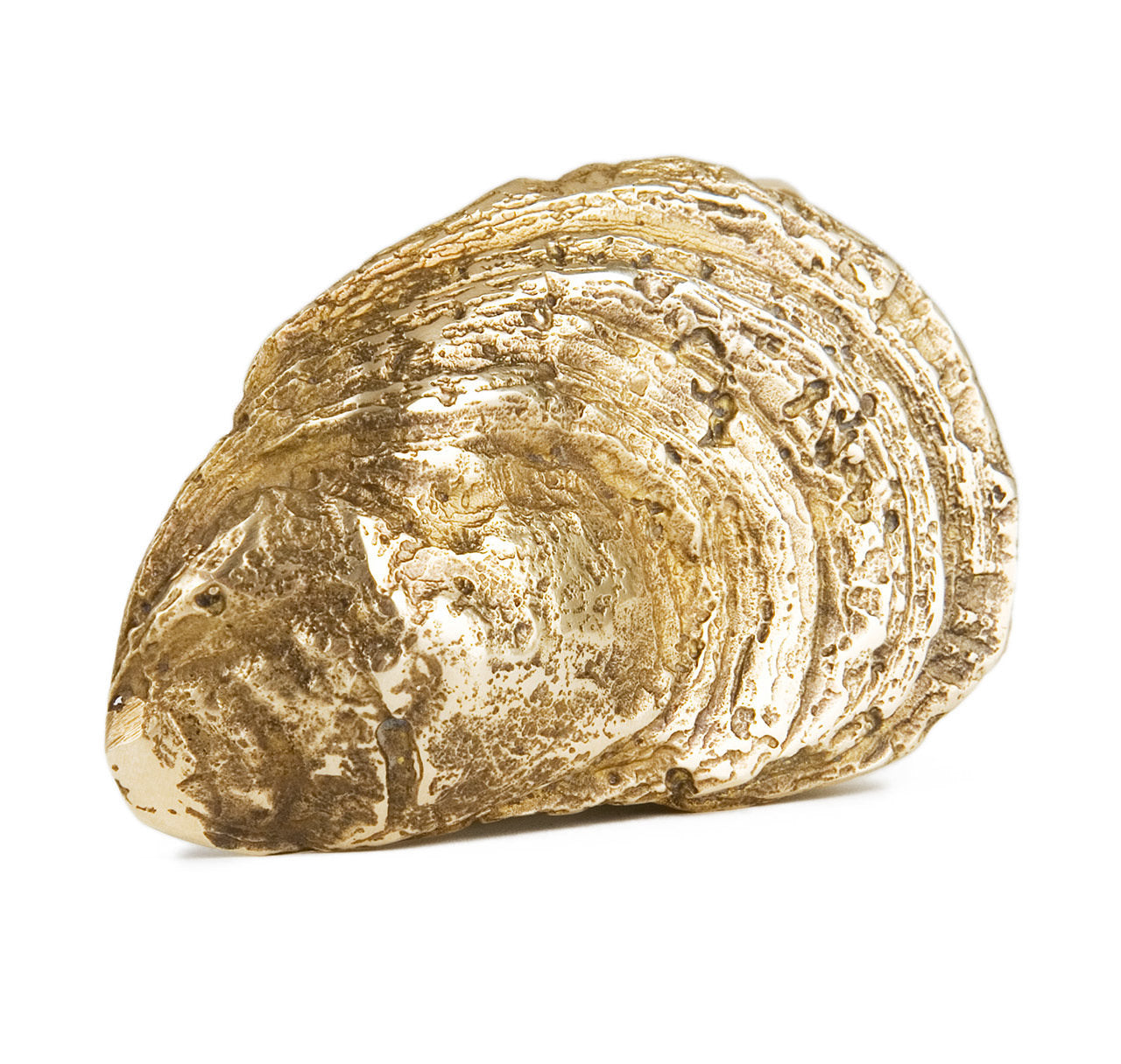 Sir Jack's Oyster Shell Buckle with Brown Leather Belt