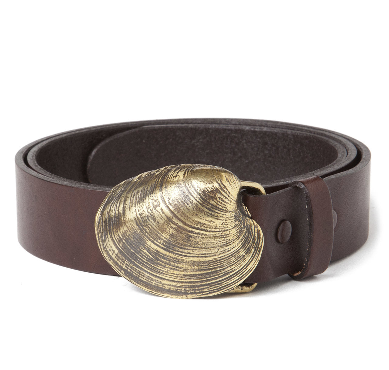 Quahog Shell Buckle with Brown Leather Belt