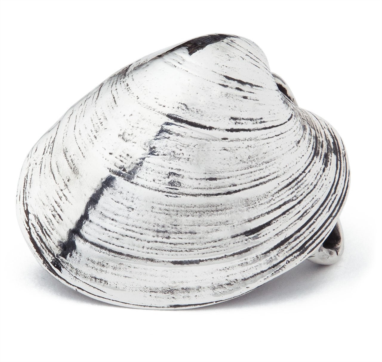 Sterling Quahog Shell Belt Buckle